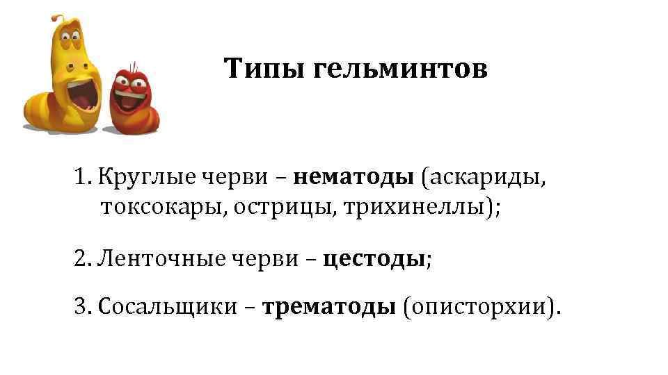 Типы гельминтов 1. Круглые черви – нематоды (аскариды, токсокары, острицы, трихинеллы); 2. Ленточные черви