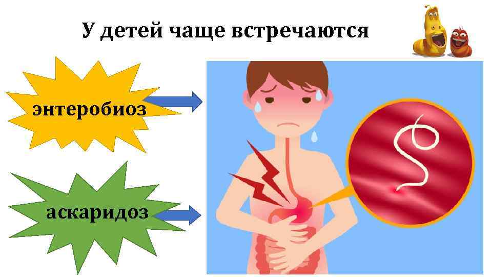 У детей чаще встречаются энтеробиоз аскаридоз 