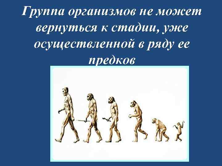 Группа организмов не может вернуться к стадии, уже осуществленной в ряду ее предков 