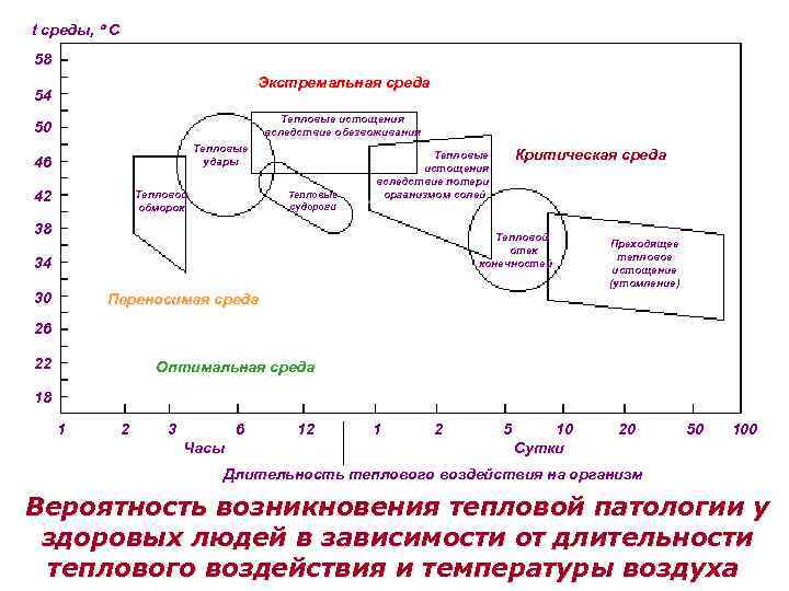 Среда перенос. Тепловое истощение вследствие обезвоживания.. Термическое истощение. Критическая температура среды для человека. Признаки теплового истощения.