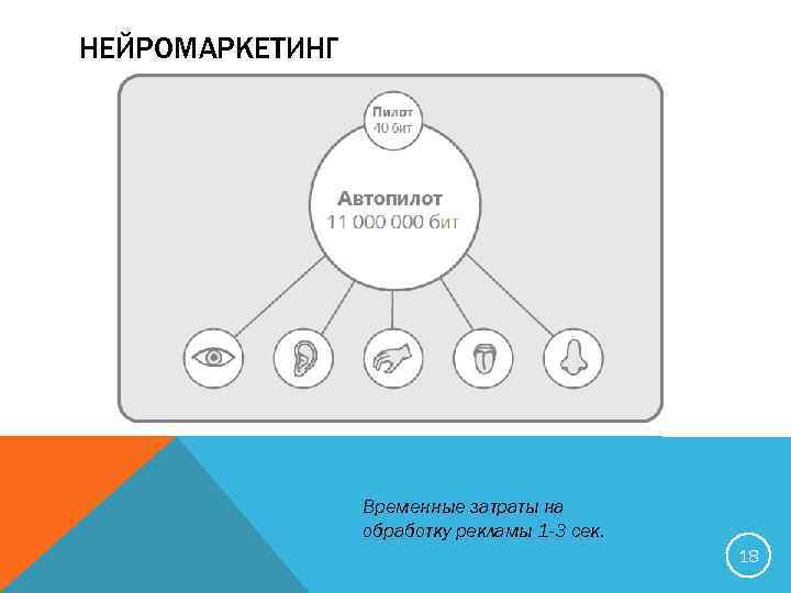 НЕЙРОМАРКЕТИНГ Временные затраты на обработку рекламы 1 -3 сек. 18 