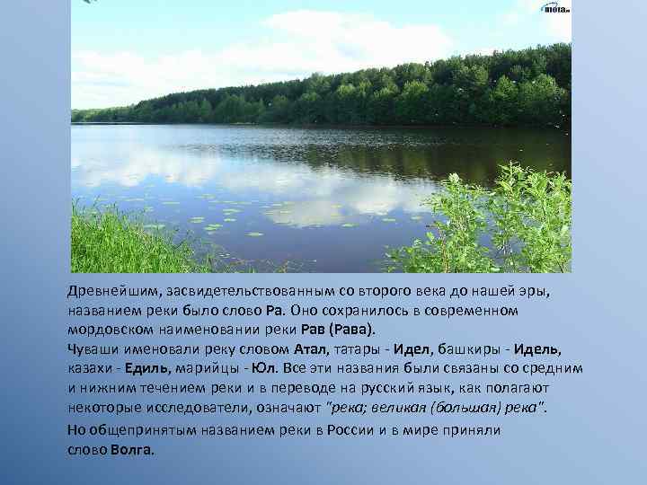 Русские реки текст 5 класс. Древнее название реки Волга. Волга река до нашей эры. Чуваши водных растений в Волге.