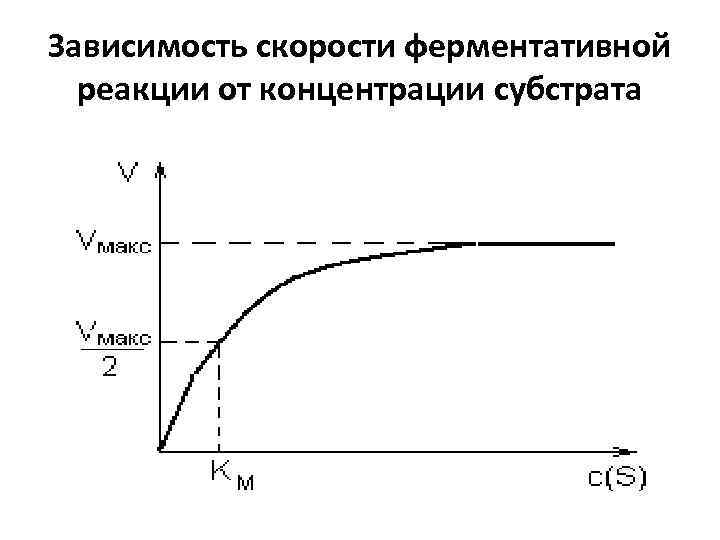 Зависимость скорости ферментативной реакции от концентрации субстрата 