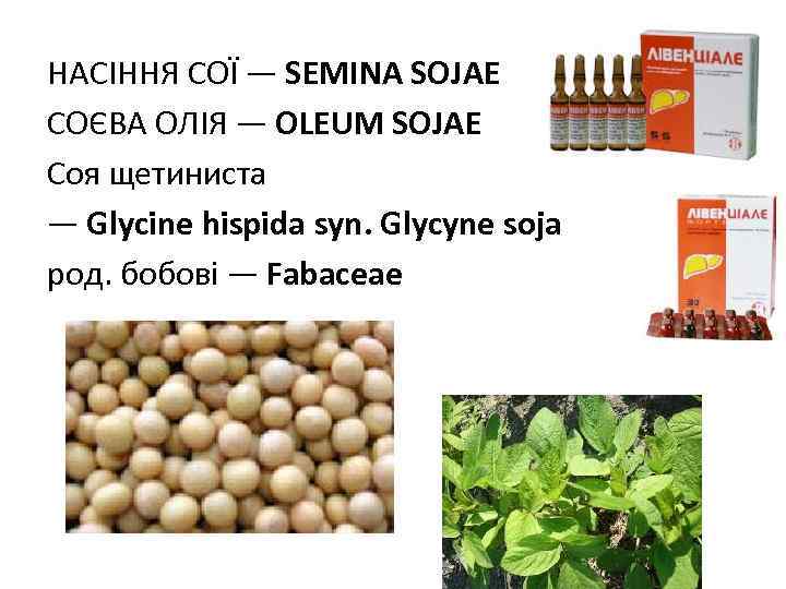 НАСIННЯ СОЇ — SEMINA SOJAE СОЄВА ОЛIЯ — OLEUM SOJAE Соя щетиниста — Glycine