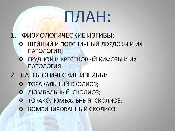 ПЛАН: 1. ФИЗИОЛОГИЧЕСКИЕ ИЗГИБЫ: v ШЕЙНЫЙ И ПОЯСНИЧНЫЙ ЛОРДОЗЫ И ИХ ПАТОЛОГИЯ; v ГРУДНОЙ
