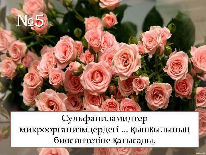 № 5 Сульфаниламидтер микроорганизмдердегі. . . қышқылының биосинтезіне қатысады. 