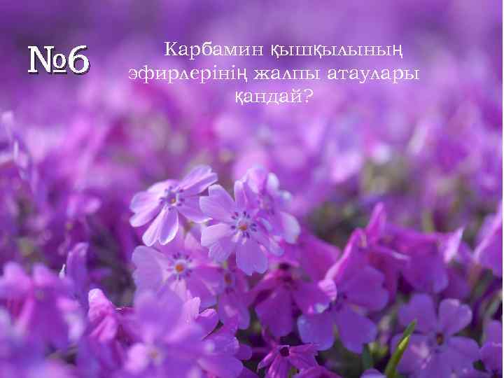 № 6 Карбамин қышқылының эфирлерінің жалпы атаулары қандай? 