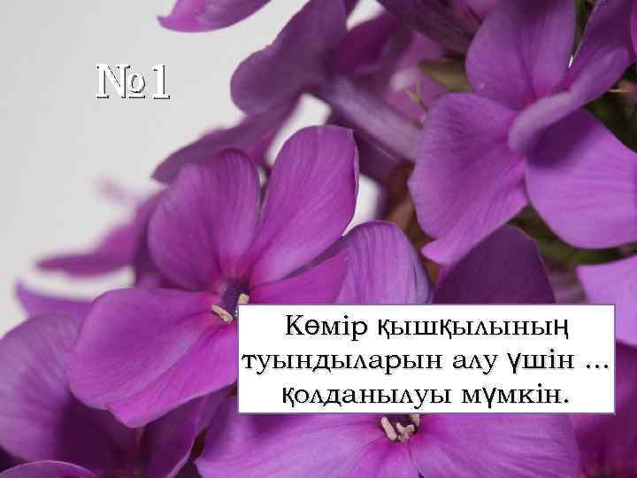 № 1 Көмір қышқылының туындыларын алу үшін. . . қолданылуы мүмкін. 