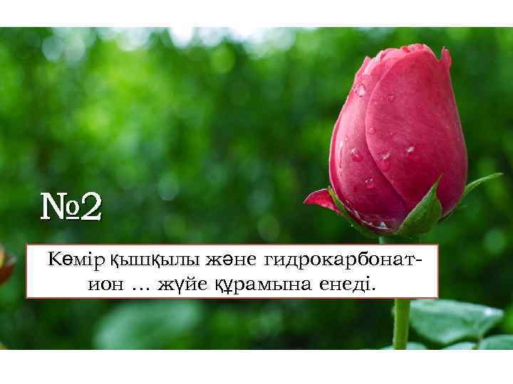 № 2 Көмір қышқылы және гидрокарбонатион … жүйе құрамына енеді. 