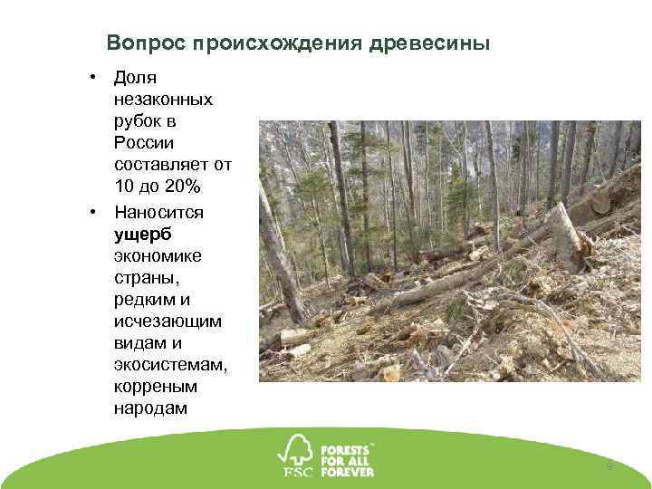 Вопрос происхождения древесины • Доля незаконных рубок в России составляет от 10 до 20%