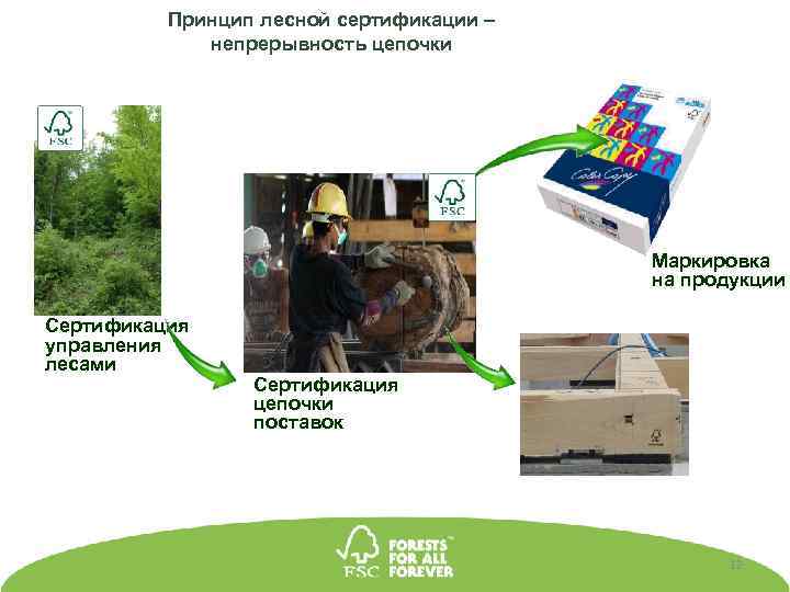 Принцип лесной сертификации – непрерывность цепочки Маркировка на продукции Сертификация управления лесами Сертификация цепочки