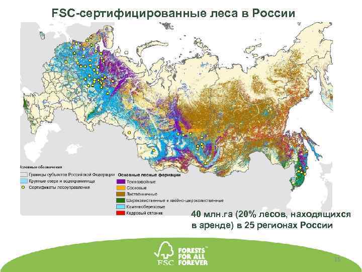 FSC-сертифицированные леса в России 40 млн. га (20% лесов, находящихся в аренде) в 25