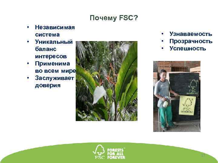 Почему FSC? • Независимая система • Уникальный баланс интересов • Применима во всем мире