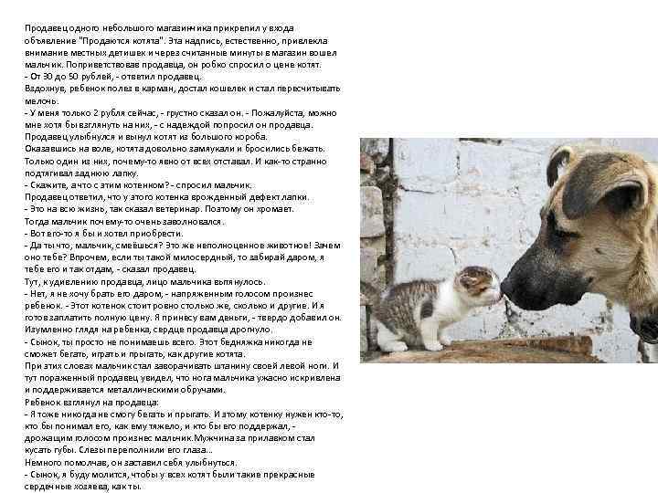 Продавец одного небольшого магазинчика прикрепил у входа объявление 