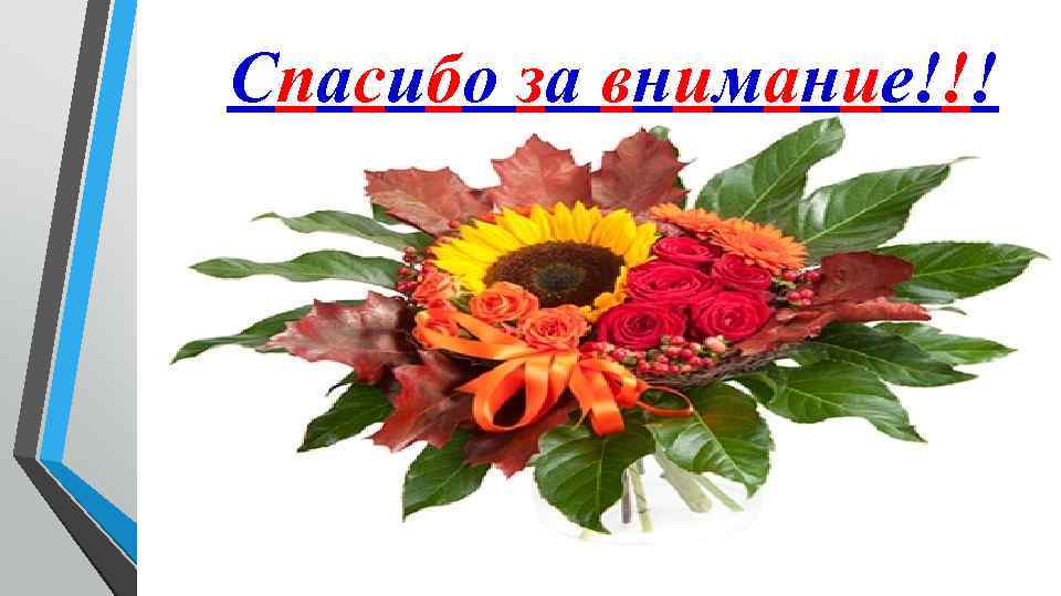 Спасибо за внимание!!! 