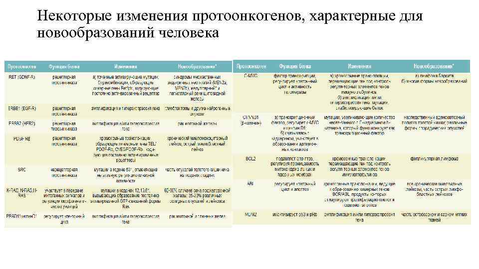 Некоторые изменения протоонкогенов, характерные для новообразований человека 