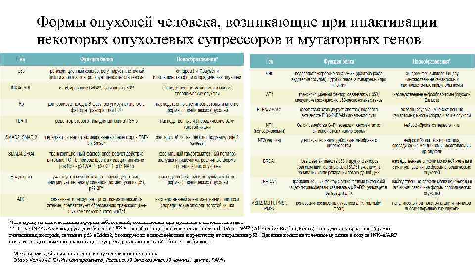   Формы опухолей человека, возникающие при инактивации  некоторых опухолевых супрессоров и мутаторных