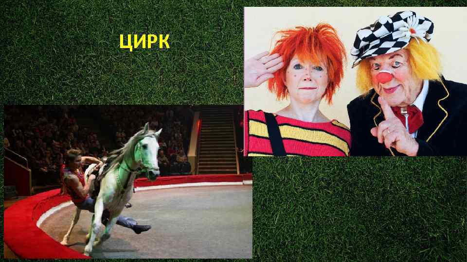 ЦИРК 