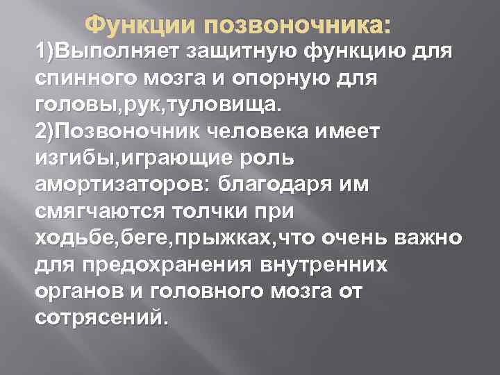   Функции позвоночника: 1)Выполняет защитную функцию для спинного мозга и опорную для головы,