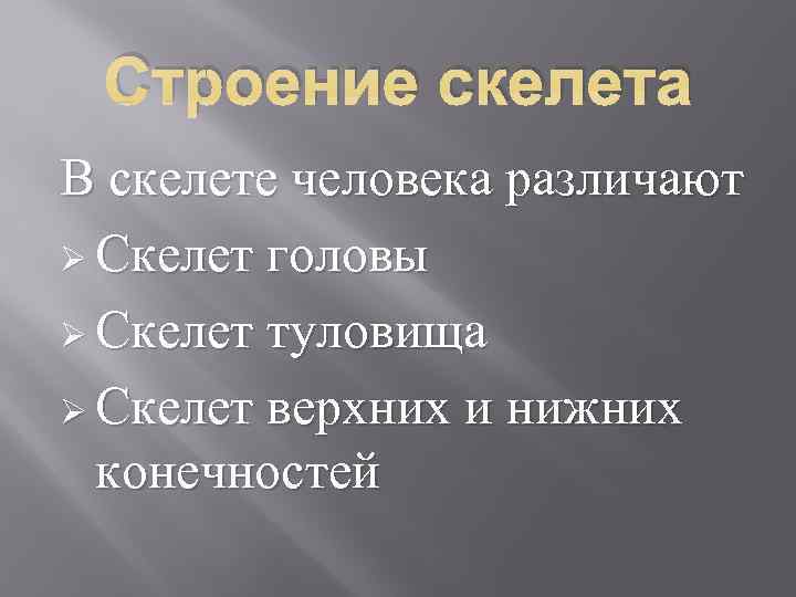  Строение скелета В скелете человека различают Ø Скелет головы Ø Скелет туловища Ø