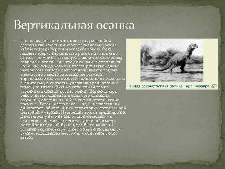 Вертикальная осанка При передвижении тираннозавр должен был держать свой жесткий хвост параллельно земле, 