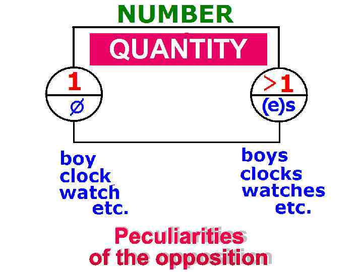  QUANTITY  Peculiarities of the opposition 