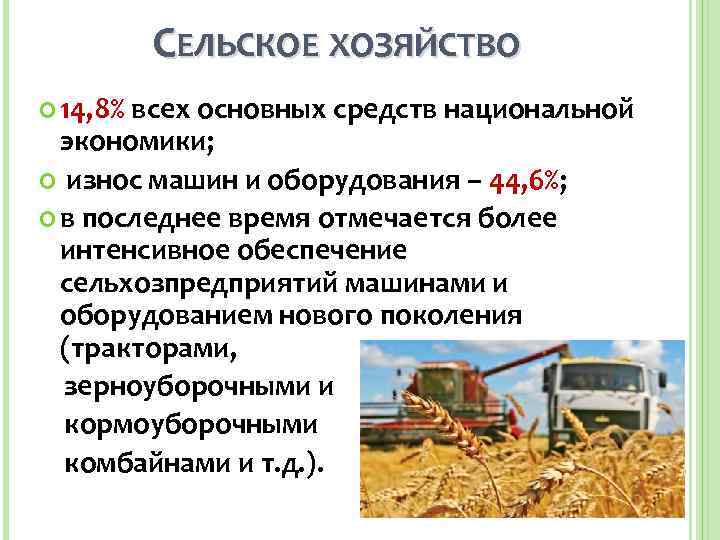    СЕЛЬСКОЕ ХОЗЯЙСТВО  14, 8%всех основных средств национальной  экономики; 