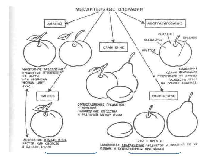 В В общении мышлении коммуникация сигнализация В В общении мышлении коммуникация сигнализация