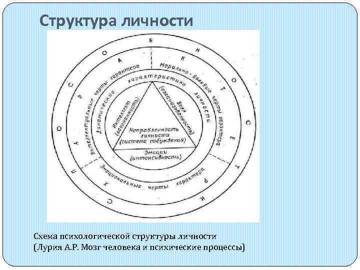 Структура личности схема психология