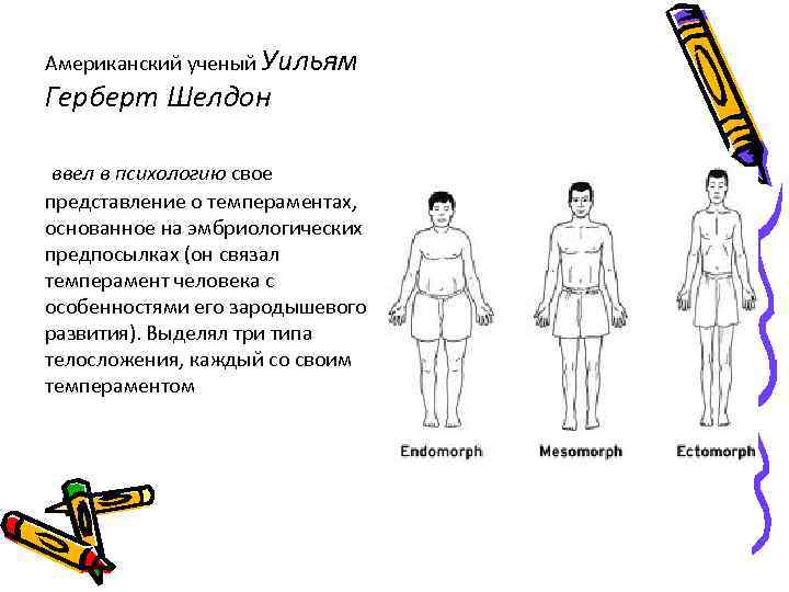 Американский ученый Уильям Герберт Шелдон  ввел в психологию свое представление о темпераментах, основанное