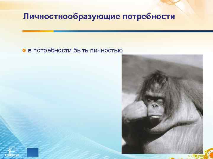 Личностнообразующие потребности  в потребности быть личностью 