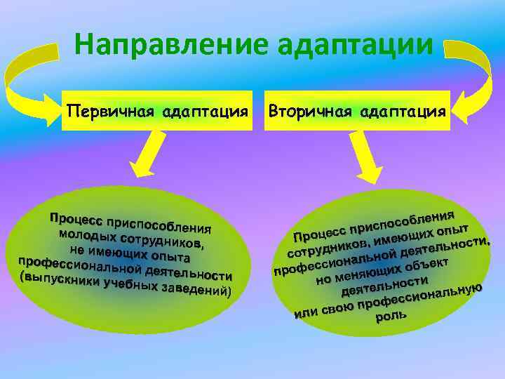 Направление адаптации Первичная адаптация Вторичная адаптация Процесс Направление адаптации Первичная адаптация Вторичная адаптация Процесс