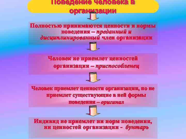 Поведение человека в организации Полностью принимаются ценности и нормы Поведение человека в организации Полностью принимаются ценности и нормы