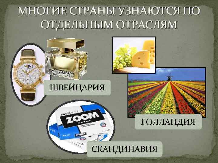 МНОГИЕ СТРАНЫ УЗНАЮТСЯ ПО  ОТДЕЛЬНЫМ ОТРАСЛЯМ   ШВЕЙЦАРИЯ    