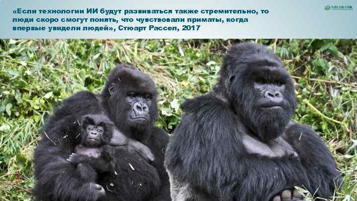 «Если технологии ИИ будут развиваться также стремительно, то люди скоро смогут понять, что «Если технологии ИИ будут развиваться также стремительно, то люди скоро смогут понять, что