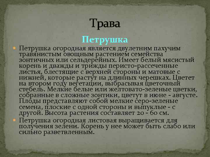      Трава     Петрушка огородная является двулетним