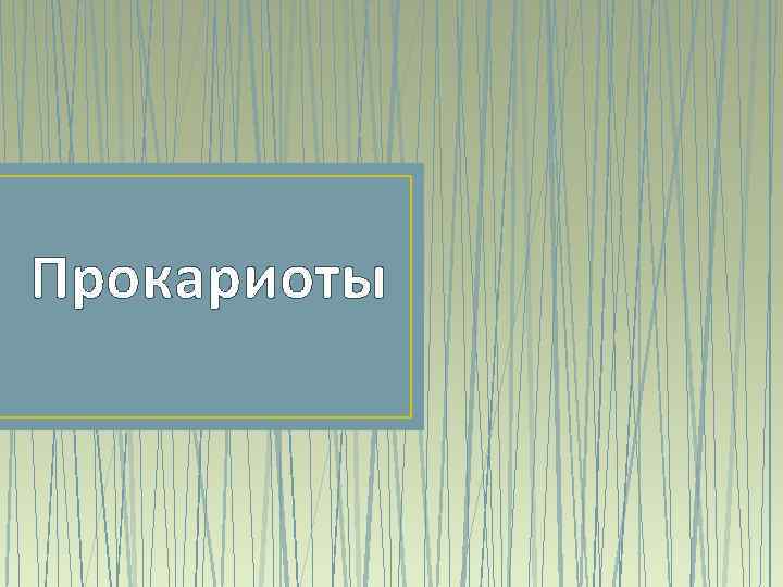 Прокариоты 