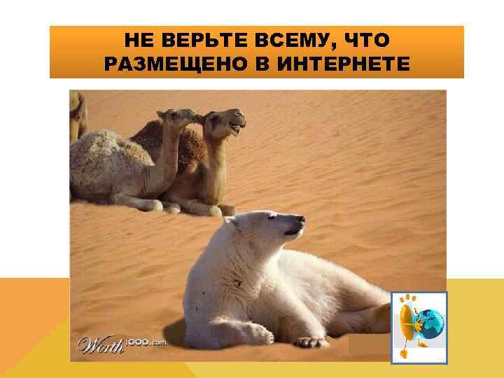  НЕ ВЕРЬТЕ ВСЕМУ, ЧТО РАЗМЕЩЕНО В ИНТЕРНЕТЕ 