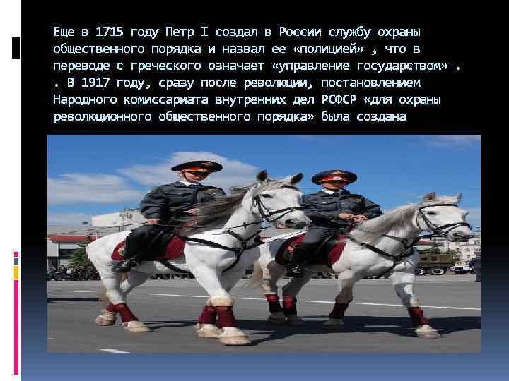 Еще в 1715 году Петр I создал в России службу охраны общественного порядка и