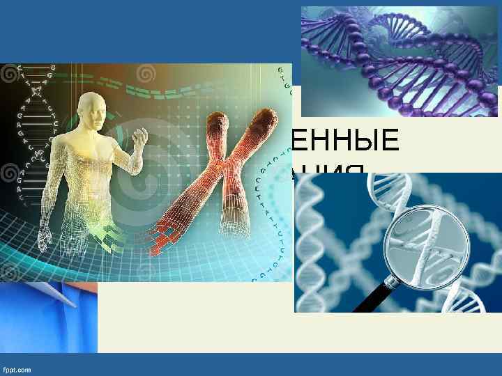 НАСЛЕДСТВЕННЫЕ  ЗАБОЛЕВАНИЯ 