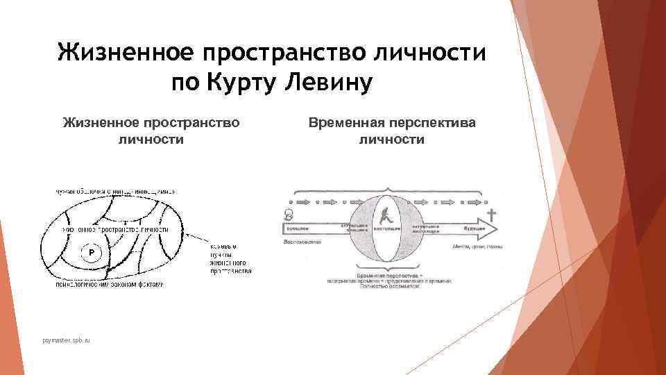 Жизненное пространство личности по Курту Левину Жизненное пространство Временная Жизненное пространство личности по Курту Левину Жизненное пространство Временная