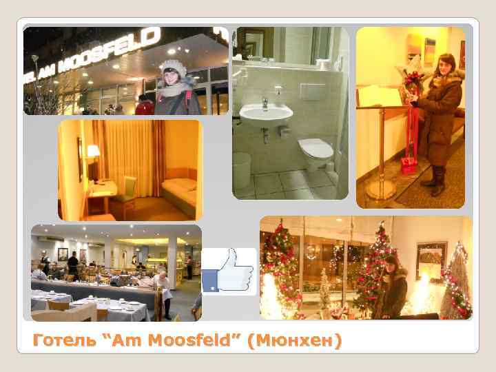 Готель “Am Moosfeld” (Мюнхен) 