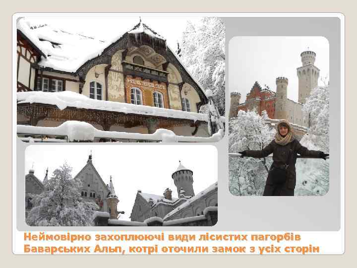 Неймовірно захоплюючі види лісистих пагорбів Баварських Альп, котрі оточили замок з усіх сторін 