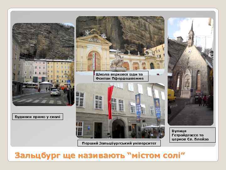      Школа верхової їзди та     