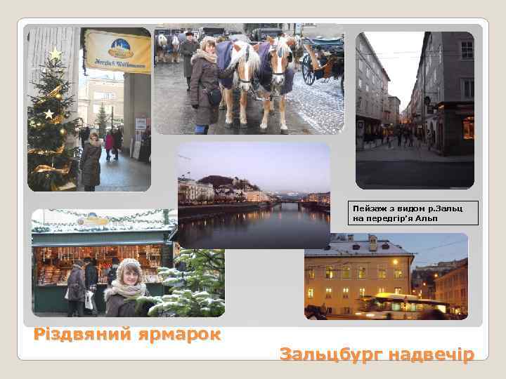      Пейзаж з видом р. Зальц    