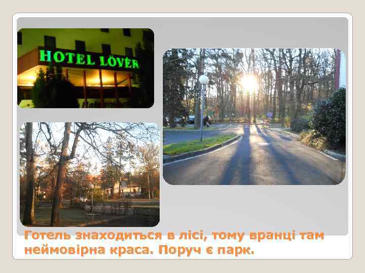 Готель знаходиться в лісі, тому вранці там неймовірна краса. Поруч є парк. 