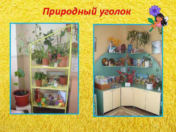 Природный уголок Природный уголок