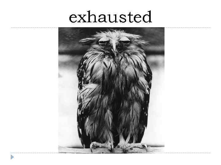 exhausted 