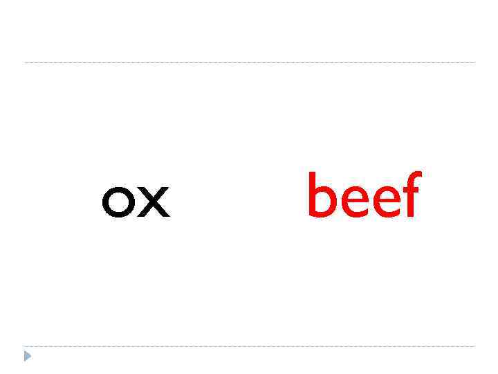 ox  beef 