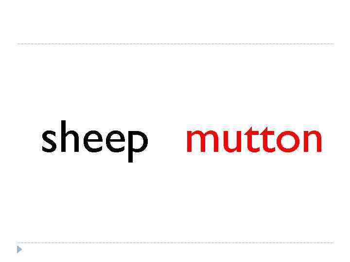 sheep mutton 